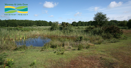 Market Weston Fen, Steve Aylward