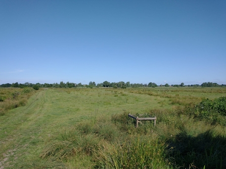 Castle Marshes – Lewis Yates 