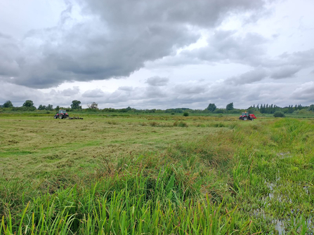 Wardens Gavin and Frances have been busy topping the marshes at Castle Marshes - Lewis Yates 