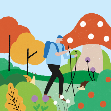 Illustration of a colourful, abstract landscape with a pale blue sky. In the foreground of the image are hedges, flowers, a hedgehog, and a snail. Slightly further from the foreground is a character wearing blue clothes and holding two walking poles, walking towards the right-hand side of the image. In the background are trees and an oversized mushroom.