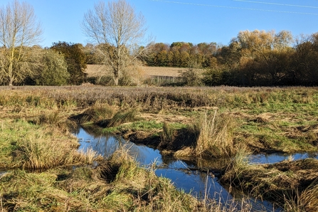 New grib habitats created on the River Lark in Suffolk
