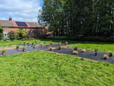 Cross shaped flower bed