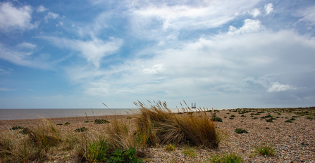 Thorpeness beach