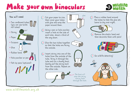 An illustration showing how to make binoculars out of cardboard tubes