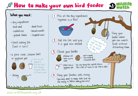 Illustration to show how to make a bird feeder