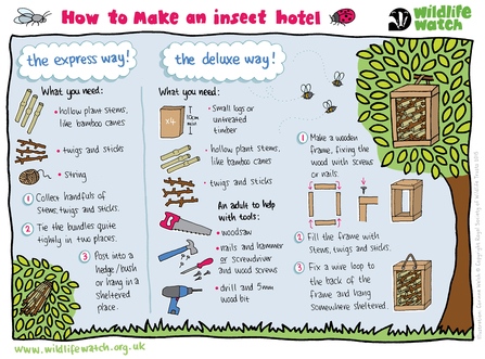 How to build an insect hotel