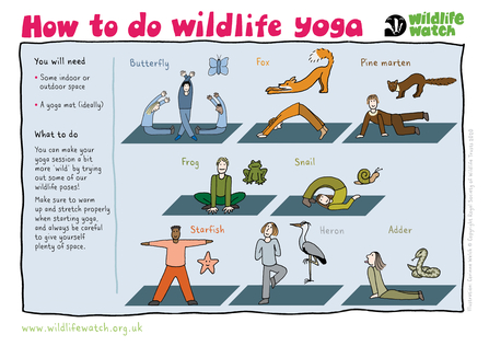 Illustrations of different yoga poses