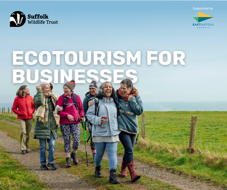 A group of women walking on a coastal path with text reading 'Ecotourism for Businesses'