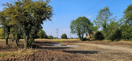 A before image of the dried up pond on the CWS