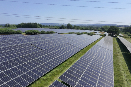 Solar Farm UK