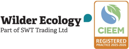 Wilder Ecology and CIEEM 2025-26