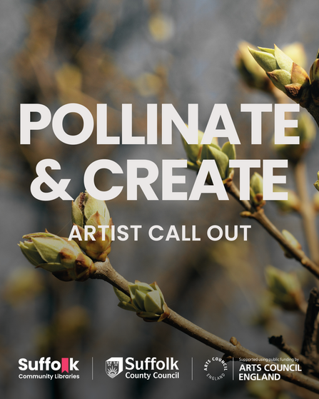 Suffolk Libraries residency