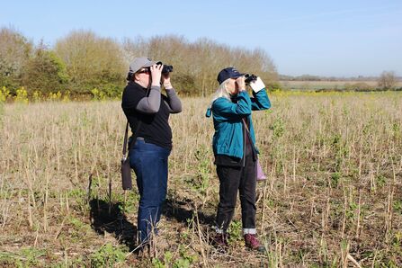 Farm Advice team doing bird surveys - April 2026