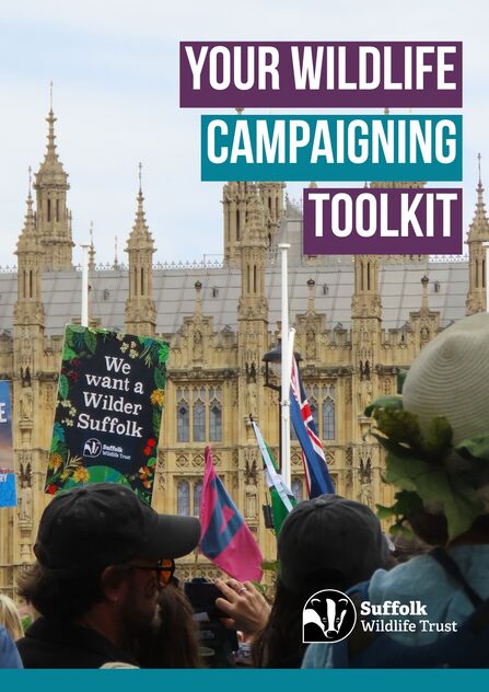 Your wildlife campaigning toolkit front cover