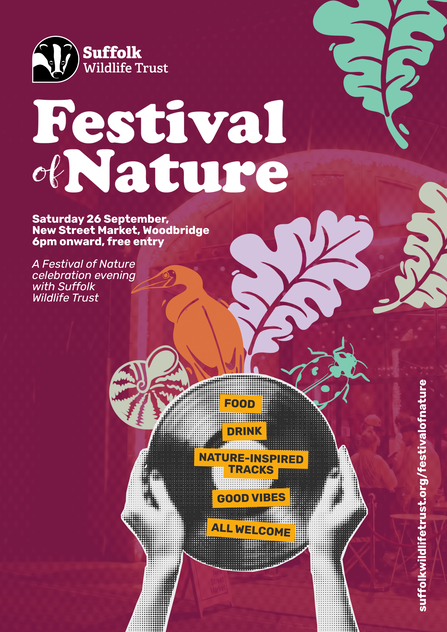 New Street Market Festival of Nature 