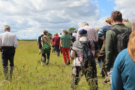 Midsummer Meet Up