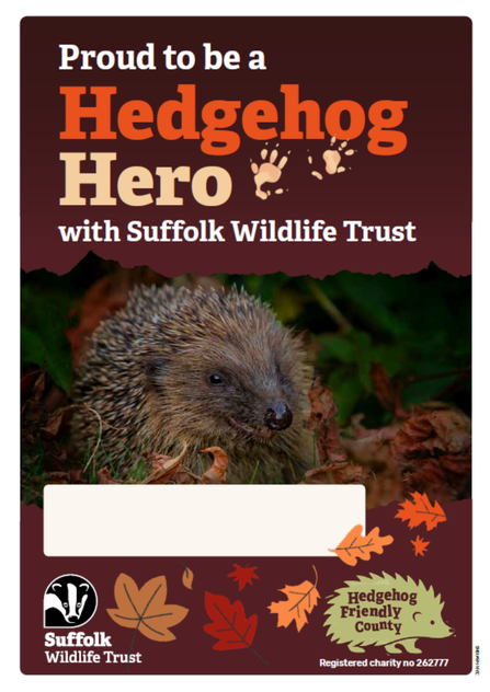 Hedgehog Hero certificate