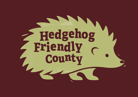 Hedgehog friendly county logo