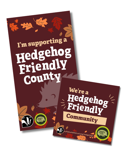 Hedgehog Friendly County social media assets
