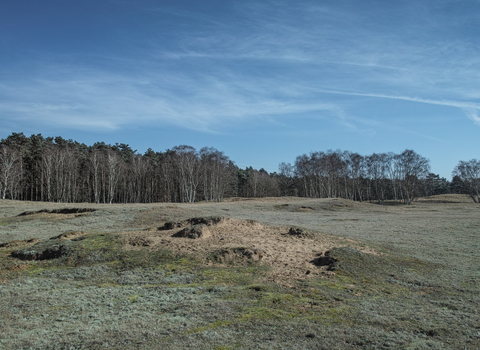 Wangford Warren Suffolk Wildlife Trust