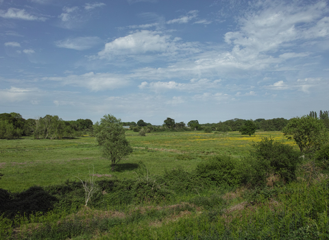 Chruch farm marshes Suffolk Wildlife Trust