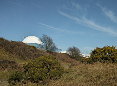 Sizewell Belts nature reserve Suffolk Wildlife Trust