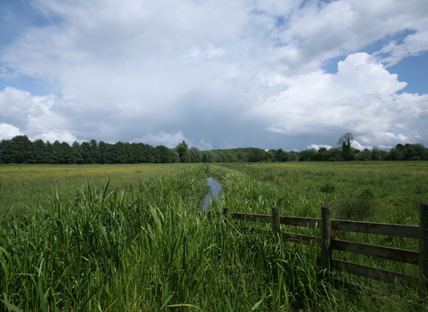 Norah hanbury kelk nature reserve Suffolk Wildlife Trust