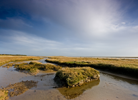 Simpson's Saltings Suffolk Wildlife Trust