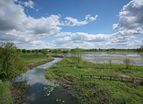 Mickle Mere nature reserve Suffolk Wildlife Trust