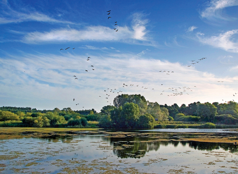 Lackford Lakes Suffolk Wildlife Trust