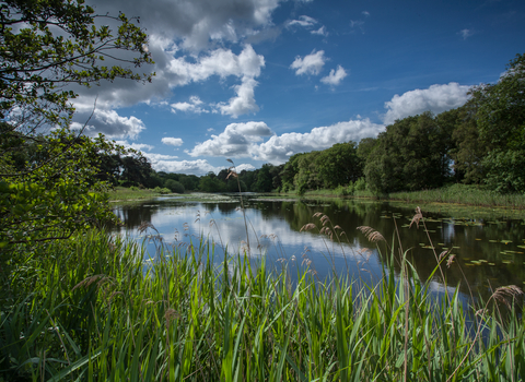 Suffolk Wildlife Trust