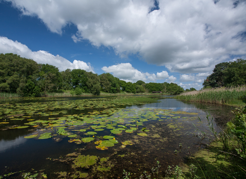 Suffolk Wildlife Trust