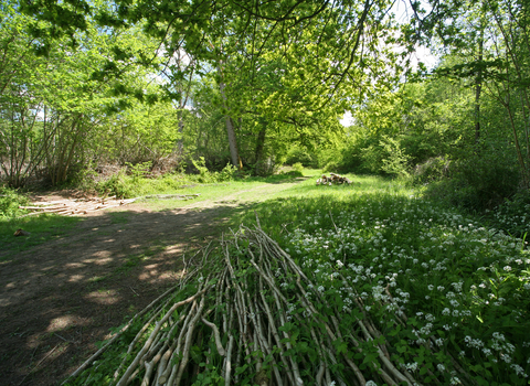 Suffolk Wildlife Trust