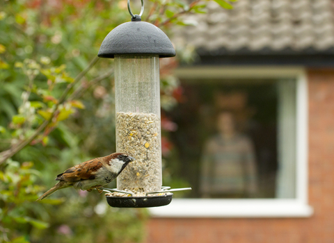 Suffolk Wildlife Trust