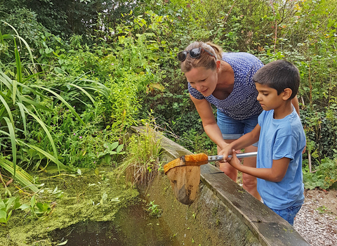 Suffolk Wildlife Trust