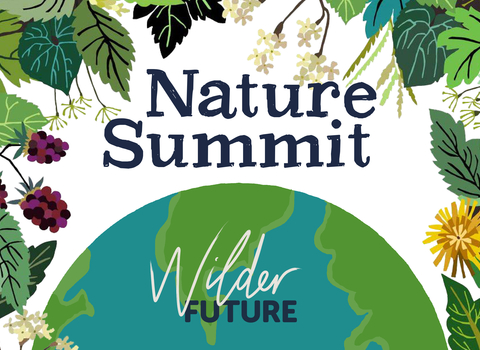 Nature Summit poster by Brie Harrison