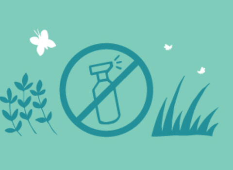Chemical free illustration actions