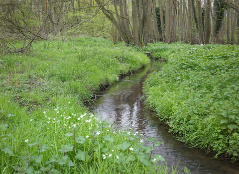 Arger Fen by Steve Aylward