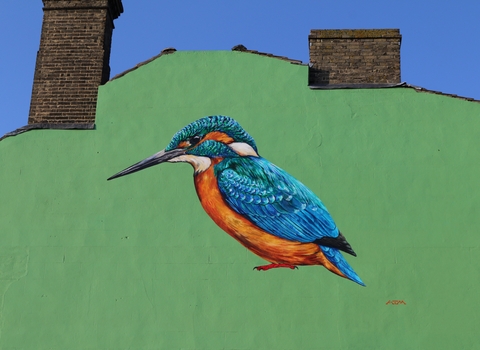 Kingfisher mural by ATM (photo: Kevin Coote)