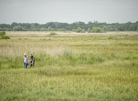 Carlton Marshes landscape, John Ferguson