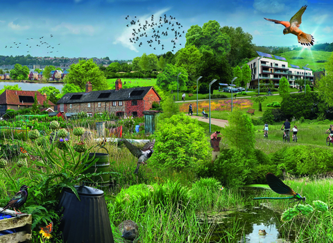 Suffolk Wildlife Trust urban vision illustration, Dan Hilliard, 2021