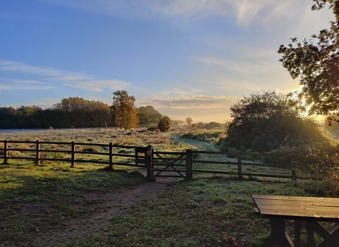 Frost at Redgrave & Lopham Fen – David Stansfeld