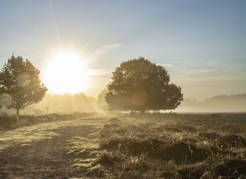 Knettishall Heath - membership page