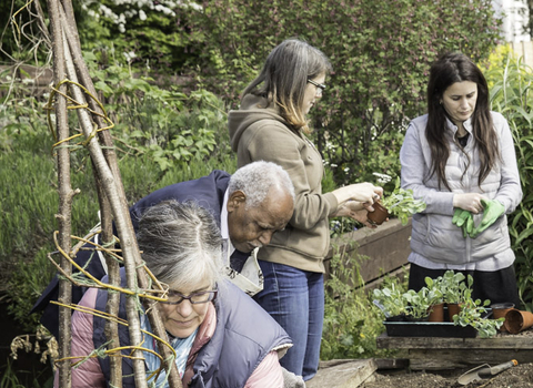 Suffolk Wildlife Trust