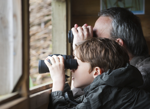 Bird hide, the wildlife trusts