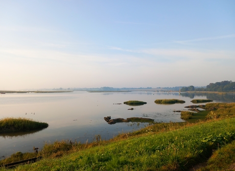 Martlesham Wilds nature reserve, River Deben, Suffolk