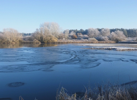 A frosty lake with the trees on the horizon