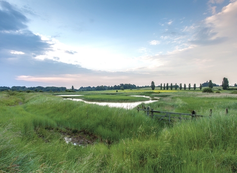 A verdant landscape overlooking scrapes with a blue and pink sky