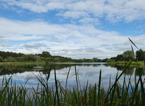 view of long reach from Bess's hide
