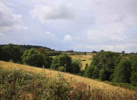 A view across rolling hills on a sunny day